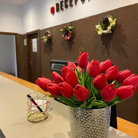 Osrodek Tulipan ホテル ウストロン