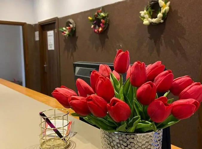 Osrodek Tulipan מלון אוסטראון